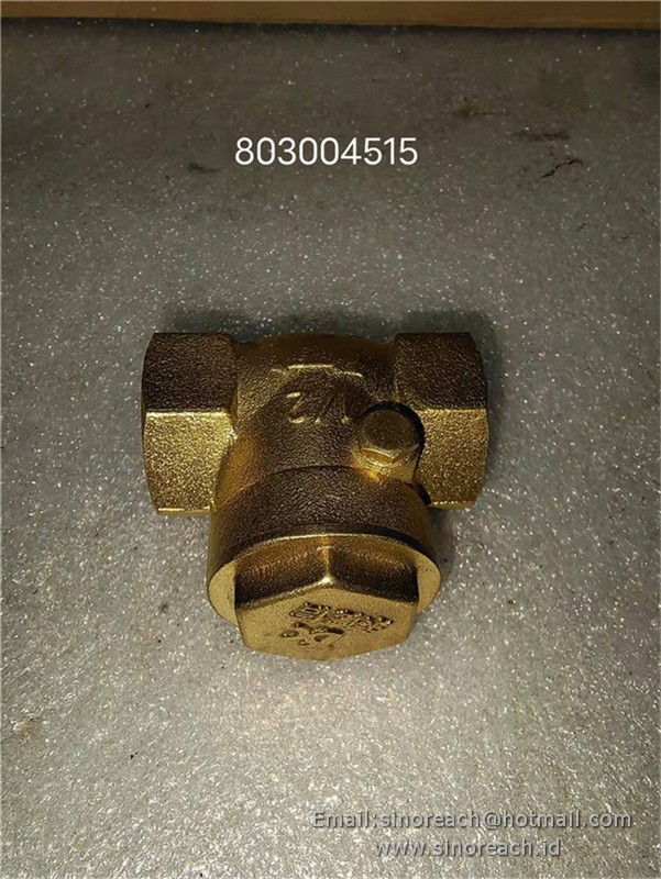 803004515 Check valve 1/2″ for XCMG SPARE PARTS