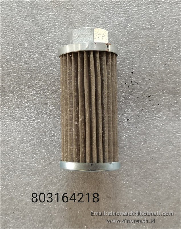 803164218 XGXL1-25X100(WU-25X100-J) fuel filter for XCMG